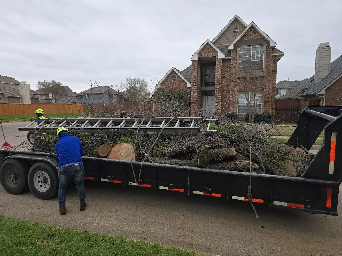 Expert Tree Fertilization with proper safety equipment in Maynard